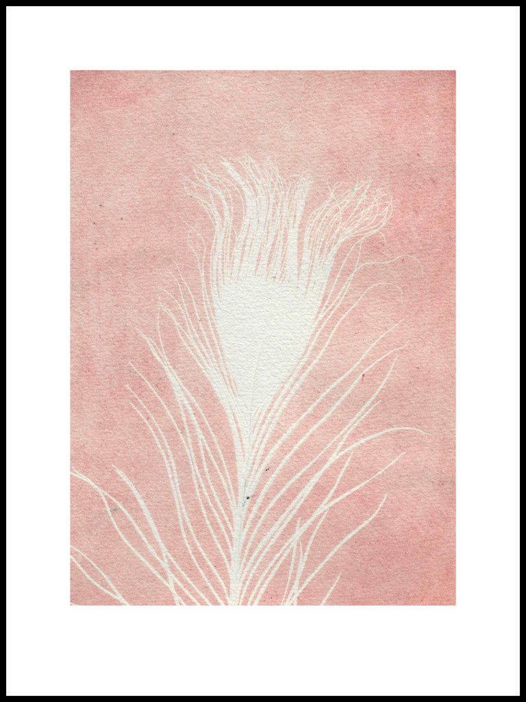 pernille-folcarelli-2