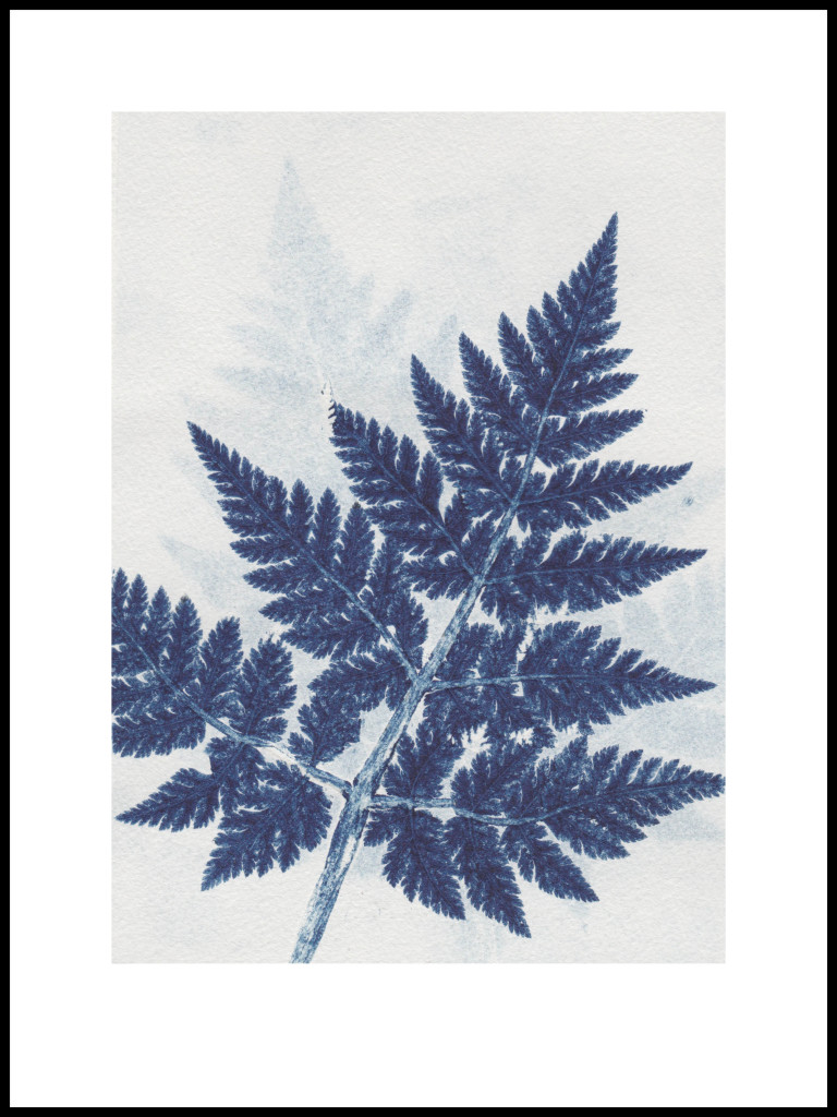 pernille-folcarelli-3