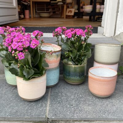 Keis & Fiedler - Urtepotte - Lille