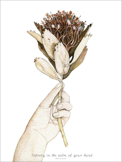 Joanna Jensen - Evighedsblomster - Infinity In The Palm of Your Hand