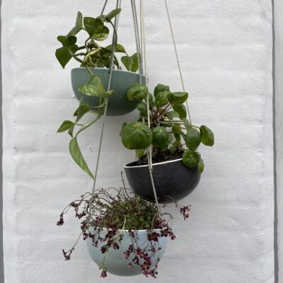 Wauw Design hængepotte