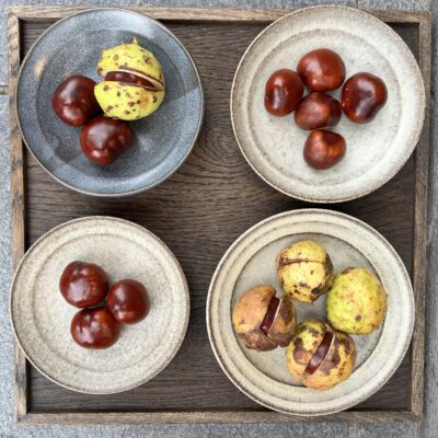 Britta Hansesgaard - Asiette