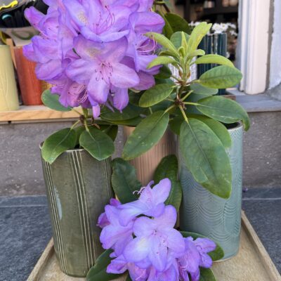 Karina Weihrauch - Vase (stor)