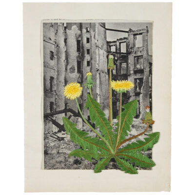 EvaC-art, Giclée-tryk af brodericollage, nummereret og signeret, egeramme, Vi kan ikke slås ihjel