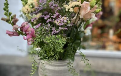 Nyhedsbrev Januar 2026