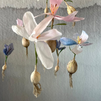 Labdecor Kristina - Hyacinter med løg i flere farver