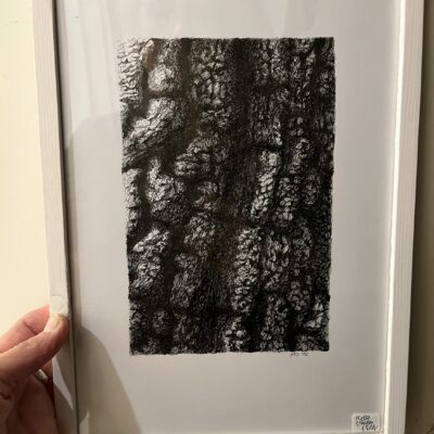 HELLE STEINSON - Bark håndtegnet