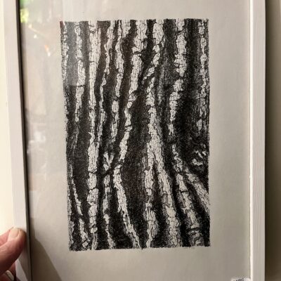 HELLE STEINSON - Bark håndtegnet mørk